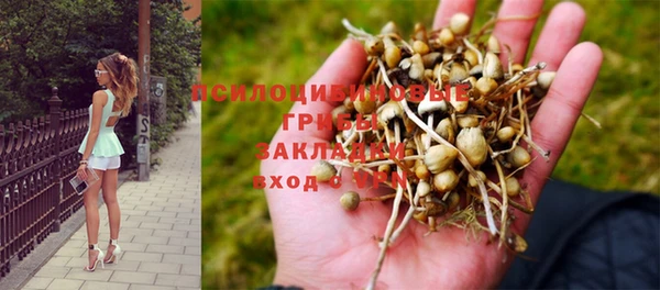 наркотики Михайлов