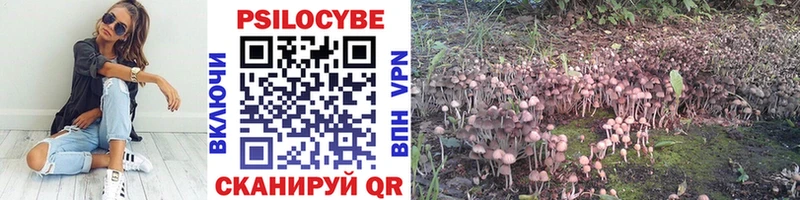 Галлюциногенные грибы Psilocybe  площадка Telegram  Харабали 